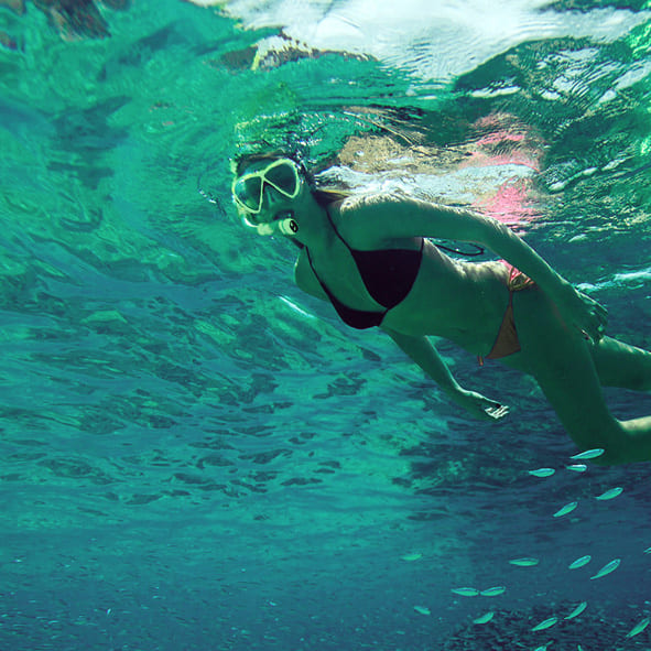 Snorkel en Los Cabos